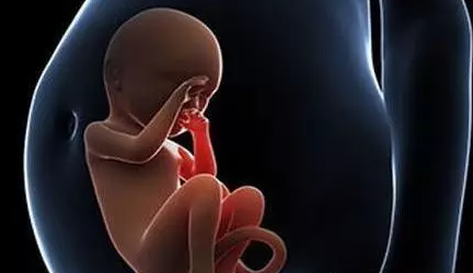 美国试管婴儿如何提升受孕率？
