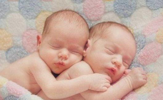 美国试管生下健康的双胞胎宝宝