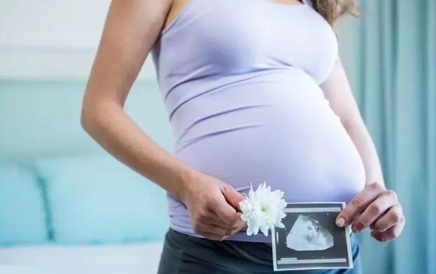 美国辅助生殖法律规定孕母行为